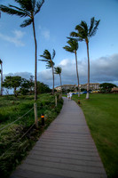 Maui, Hawaii, sunset, palm trees, beach, boardwalk