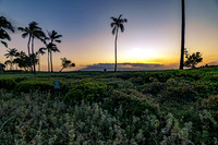 Maui, Hawaii, sunset, palm trees, beach,