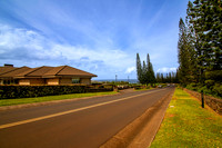 maui, hawaii, road, golf course