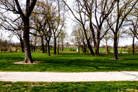 Forest Park