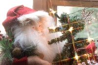Santa