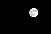 Full Moon V