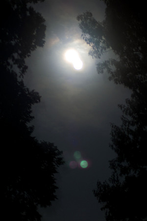 Full Moon with trees