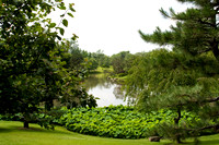 botanicalgarden_0068