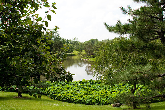 botanicalgarden_0068