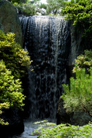 botanicalgarden_0099