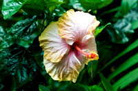 botanicalgarden_0033