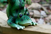 lensbaby_0027