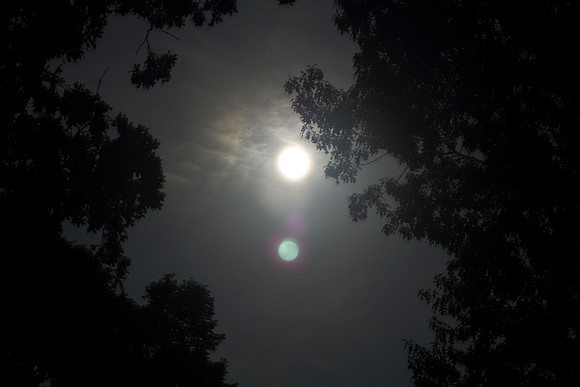 Full Moon behind trees