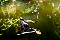 botanicalgarden_0044