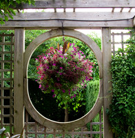 botanicalgarden_0126