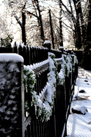 White Christmas