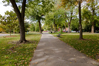 Tower Grove Park